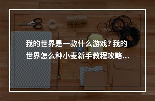 我的世界是一款什么游戏? 我的世界怎么种小麦新手教程攻略列表