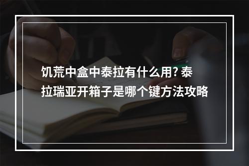 饥荒中盒中泰拉有什么用? 泰拉瑞亚开箱子是哪个键方法攻略