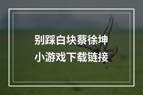 别踩白块蔡徐坤小游戏下载链接