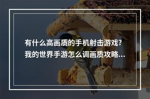 有什么高画质的手机射击游戏? 我的世界手游怎么调画质攻略详情