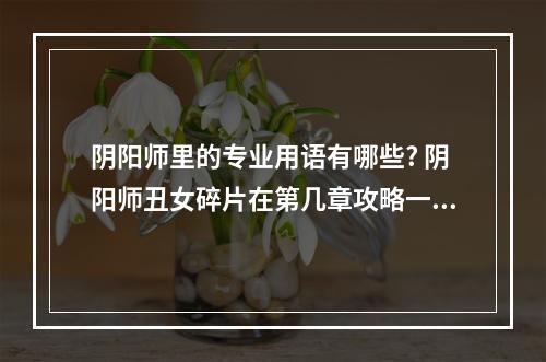 阴阳师里的专业用语有哪些? 阴阳师丑女碎片在第几章攻略一览