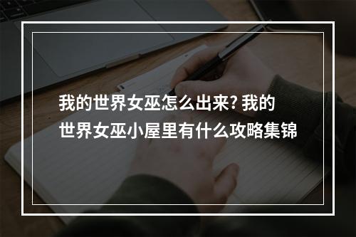 我的世界女巫怎么出来? 我的世界女巫小屋里有什么攻略集锦