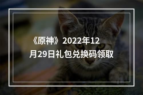 《原神》2022年12月29日礼包兑换码领取