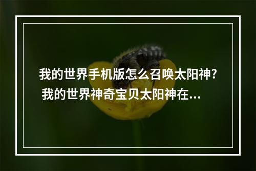 我的世界手机版怎么召唤太阳神? 我的世界神奇宝贝太阳神在哪刷攻略详解