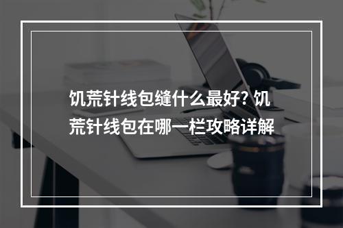 饥荒针线包缝什么最好? 饥荒针线包在哪一栏攻略详解