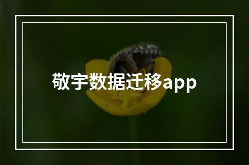 敬宇数据迁移app