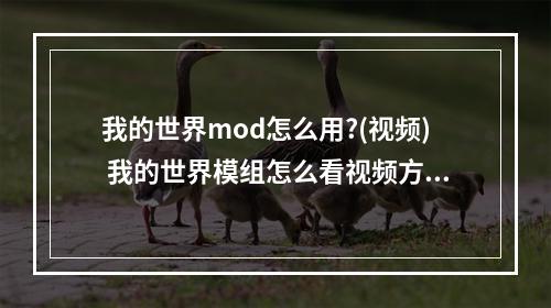 我的世界mod怎么用?(视频) 我的世界模组怎么看视频方法攻略