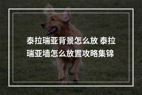 泰拉瑞亚背景怎么放 泰拉瑞亚墙怎么放置攻略集锦