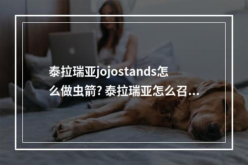 泰拉瑞亚jojostands怎么做虫箭? 泰拉瑞亚怎么召唤军火商人攻略集锦