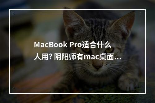 MacBook Pro适合什么人用? 阴阳师有mac桌面版吗攻略合集