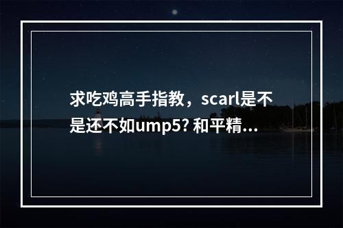 求吃鸡高手指教，scarl是不是还不如ump5? 和平精英ump45和ak哪个强攻略合集