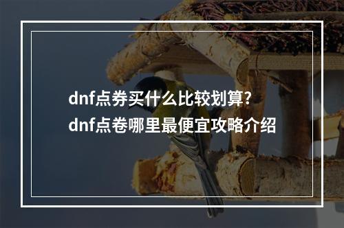 dnf点券买什么比较划算? dnf点卷哪里最便宜攻略介绍