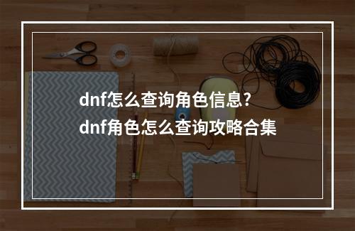 dnf怎么查询角色信息? dnf角色怎么查询攻略合集