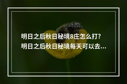 明日之后秋日秘境8庄怎么打? 明日之后秋日秘境每天可以去几次攻略详情