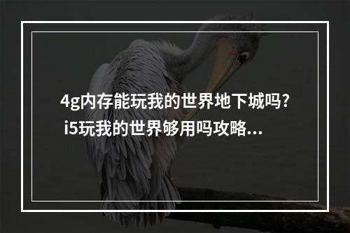 4g内存能玩我的世界地下城吗? i5玩我的世界够用吗攻略列表