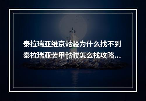 泰拉瑞亚维京骷髅为什么找不到 泰拉瑞亚装甲骷髅怎么找攻略列表