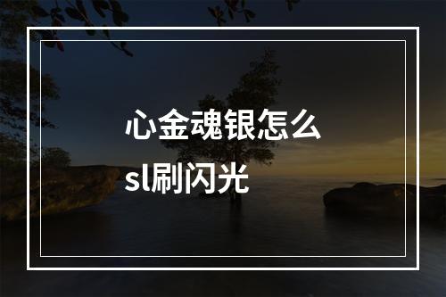 心金魂银怎么sl刷闪光