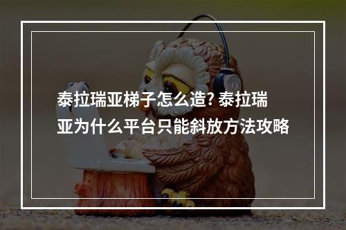 泰拉瑞亚梯子怎么造? 泰拉瑞亚为什么平台只能斜放方法攻略