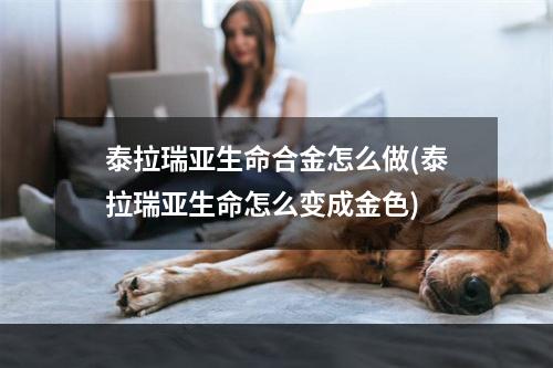 泰拉瑞亚生命合金怎么做(泰拉瑞亚生命怎么变成金色)