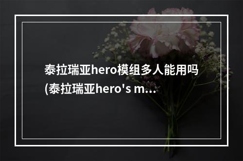 泰拉瑞亚hero模组多人能用吗(泰拉瑞亚hero's mod多人)