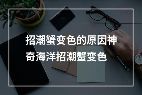 招潮蟹变色的原因神奇海洋招潮蟹变色