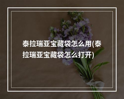 泰拉瑞亚宝藏袋怎么用(泰拉瑞亚宝藏袋怎么打开)