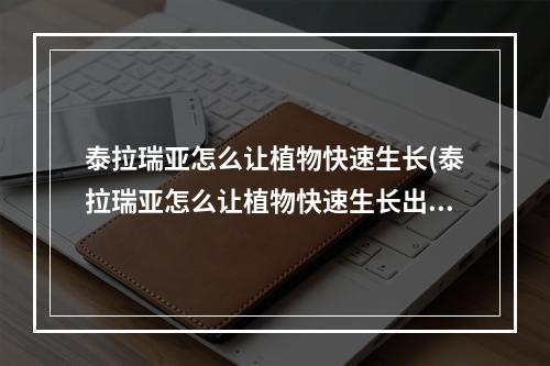 泰拉瑞亚怎么让植物快速生长(泰拉瑞亚怎么让植物快速生长出来)