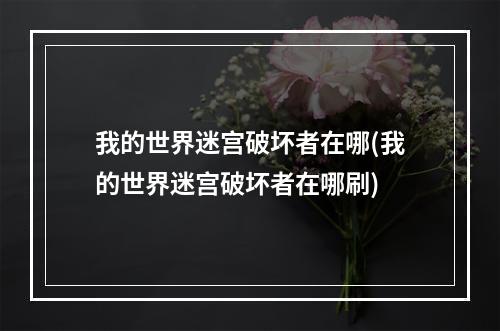 我的世界迷宫破坏者在哪(我的世界迷宫破坏者在哪刷)