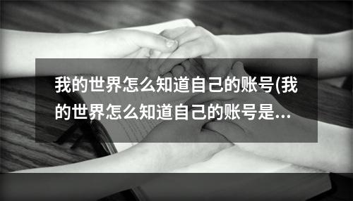 我的世界怎么知道自己的账号(我的世界怎么知道自己的账号是多少)