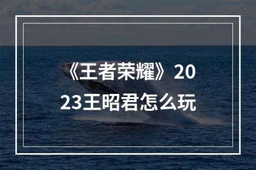 《王者荣耀》2023王昭君怎么玩