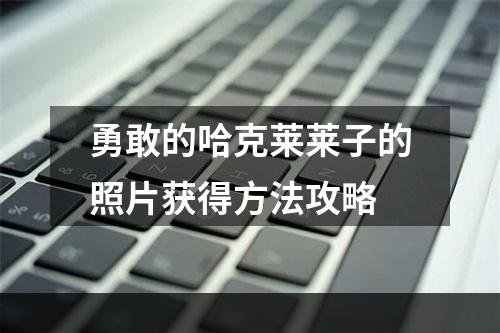 勇敢的哈克莱莱子的照片获得方法攻略