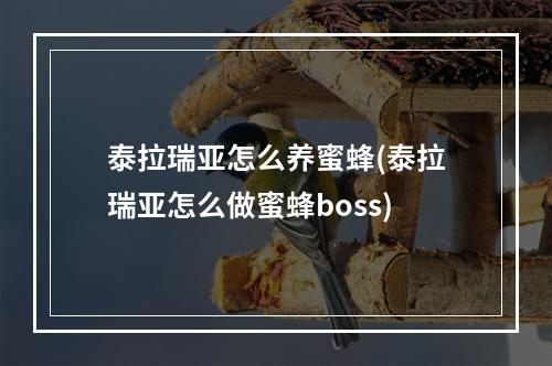 泰拉瑞亚怎么养蜜蜂(泰拉瑞亚怎么做蜜蜂boss)