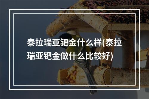 泰拉瑞亚钯金什么样(泰拉瑞亚钯金做什么比较好)