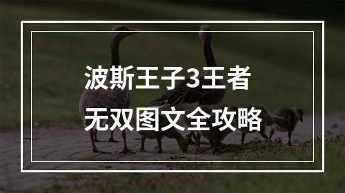 波斯王子3王者无双图文全攻略