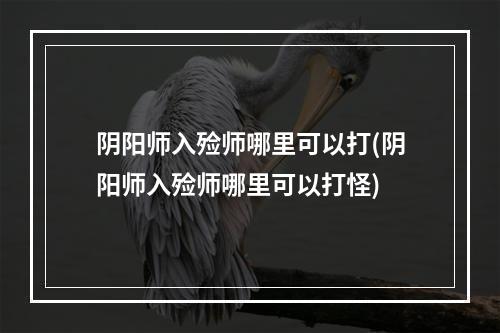 阴阳师入殓师哪里可以打(阴阳师入殓师哪里可以打怪)