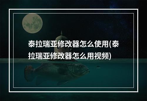 泰拉瑞亚修改器怎么使用(泰拉瑞亚修改器怎么用视频)