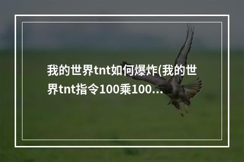 我的世界tnt如何爆炸(我的世界tnt指令100乘100)