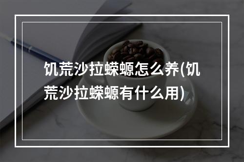 饥荒沙拉蝾螈怎么养(饥荒沙拉蝾螈有什么用)