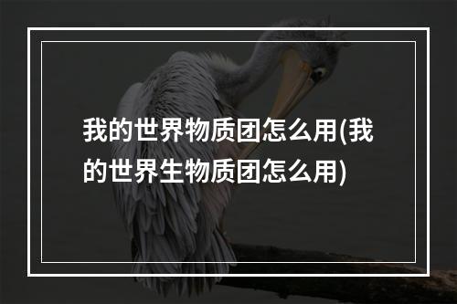 我的世界物质团怎么用(我的世界生物质团怎么用)