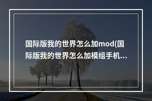 国际版我的世界怎么加mod(国际版我的世界怎么加模组手机)