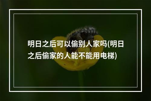 明日之后可以偷别人家吗(明日之后偷家的人能不能用电梯)