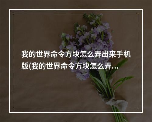 我的世界命令方块怎么弄出来手机版(我的世界命令方块怎么弄出来手机版视频)