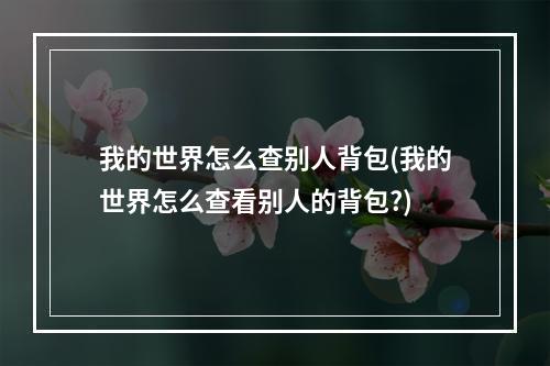 我的世界怎么查别人背包(我的世界怎么查看别人的背包?)