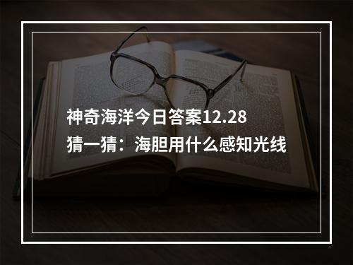 神奇海洋今日答案12.28猜一猜：海胆用什么感知光线