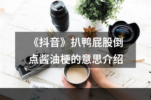 《抖音》扒鸭屁股倒点酱油梗的意思介绍