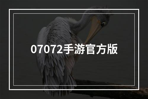 07072手游官方版