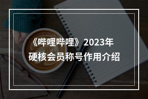 《哔哩哔哩》2023年硬核会员称号作用介绍