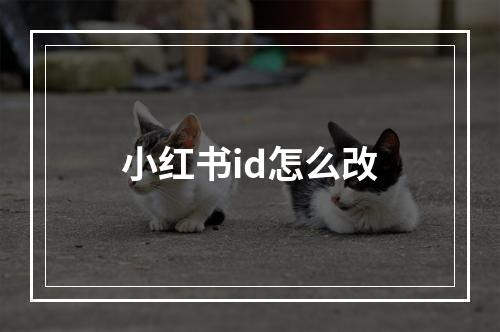 小红书id怎么改