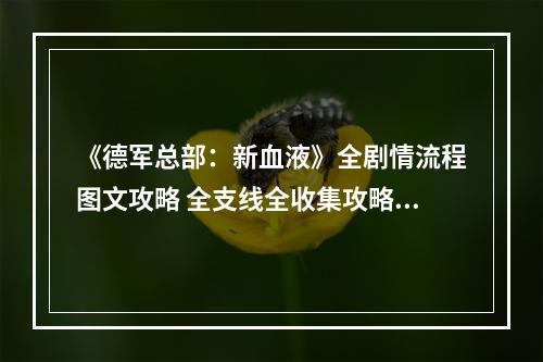 《德军总部：新血液》全剧情流程图文攻略 全支线全收集攻略--游戏攻略网