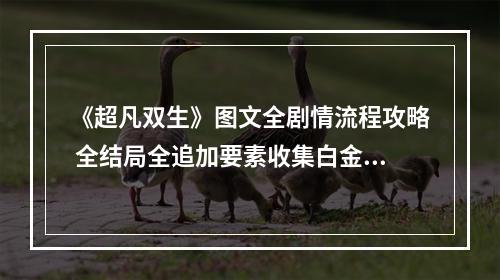 《超凡双生》图文全剧情流程攻略 全结局全追加要素收集白金奖杯攻略--手游攻略网